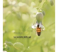 La società delle api. Immagini di un mondo staordinario. Ediz. italiana e inglese