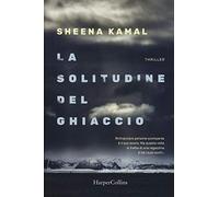 La solitudine del ghiaccio