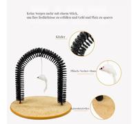 La soluzione definitiva per la toelettatura del gatto: grattaschiena e pulitore per il pelo, ideale per gatti da interno, dai cuccioli ai ga