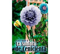 La Sombra de Cenicienta: Love Days Libro 2