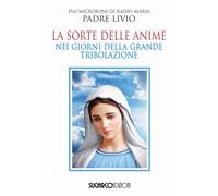 Libri Livio Fanzaga - La Sorte Delle Anime Nei Giorni Della Grande Tribolazione