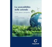 La sostenibilità nelle aziende. Teorie, prassi e prospettive