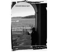 La sottile evoluzione di un addio