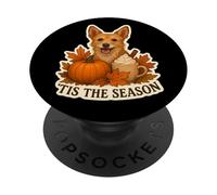 La Stagione Portoghese Podengo Pequeno Cane Autunno Autunno PopSockets PopGrip Adesivo