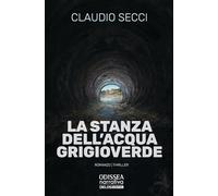 La stanza dell’acqua grigioverde