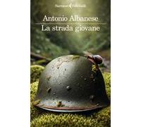 La strada giovane