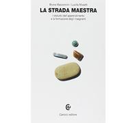 La strada maestra. I disturbi dell'apprendimento e la formazione degli insegnanti