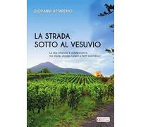La strada sotto al Vesuvio. La mia infanzia e adolescenza tra storie, strade, luoghi e fatti quotidiani