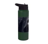 La Strega Oscura e la sua magia Stainless Steel Insulated Water Bottle