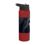 La Strega Oscura e la sua magia Stainless Steel Insulated Water Bottle