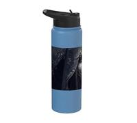 La Strega Oscura e la sua magia Stainless Steel Insulated Water Bottle