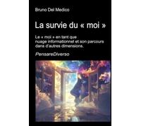 La survie du « moi »: Le « moi » en tant que nuage informationnel et son parcours dans d’autres dimensions. Conscience quantique, conservation de l’expérience et univers multidimensionnels