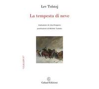 La tempesta di neve