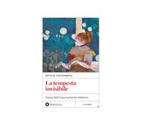 Libri Firstenberg Arthur - La Tempesta Invisibile. Storia Dell'inquinamento Elet