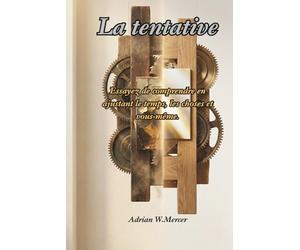 La tentative: Essayez de comprendre en ajustant le temps, les choses et vous-même