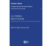 La Terra dei fuochi. Disposizioni penali in tema di gestione illecita dei rifiuti