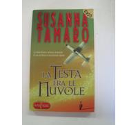La testa fra le nuvole