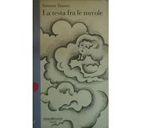 La testa fra le nuvole