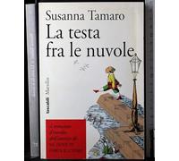 La testa fra le nuvole