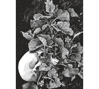 La tête de mort venue de Suède-Daria, Schmitt-Copertina rigida