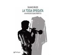 La toga spiegata. Un avvocato quasi perfetto