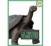 La tortuga terrestre