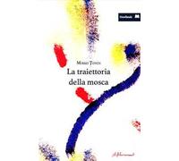 La traiettoria della mosca