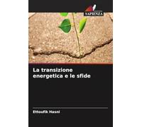 La transizione energetica e le sfide