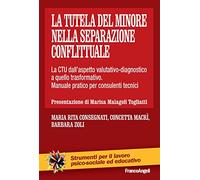 La tutela del minore nella separazione conflittuale. La CTU dall'aspetto valutativo-diagnostico a quello trasformativo. Manuale pratico per consulenti tecnici