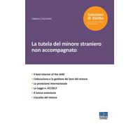 La tutela del minore straniero non accompagnato - 2019 - Maggioli