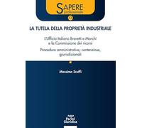 La tutela della proprietà industriale. L’Ufficio Italiano Brevetti e Marchi e la Commissione dei ricorsi. Procedure amministrative, contenziose, giurisdizionali