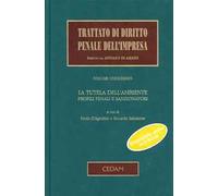 La tutela dell'ambiente. Profili penali e sanzionatori