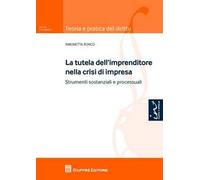 La tutela dell'imprenditore nella crisi di impresa. Strumenti sostanziali e processuali