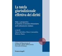 La tutela giurisdizionale effettiva dei diritti. Sfide e prospettive in materia economico-finanziaria nell'ordinamento italiano