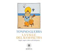 La valle del Kamasutra. Segni, sogni e altro scelti dal poeta