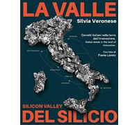 LA VALLE DEL SILICIO. SILICON VALLEY: CERVELLI ITALIANI NELLA TERRA DELL'INNOVAZIONE.