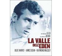 Dvd Valle Dell'Eden (La)