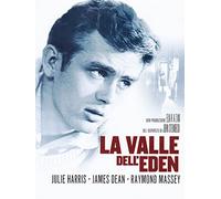 Dvd Valle Dell'Eden (La)