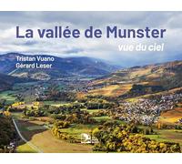 La vallée de Munster, vue du ciel