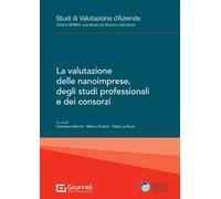 La valutazione delle nanoimprese, degli studi professionali e dei consorzi