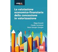 La valutazione economico-finanziaria della concessione in valorizzazione