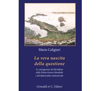 La vera nascita della questione. La conseguenze sul Meridione della Prima ...