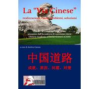 La «Via cinese». Realizzazione, cause, problemi, soluzioni