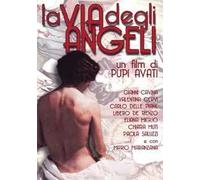 La via degli angeli ( DVD)