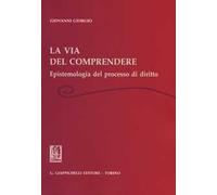 La via del comprendere. Epistemologia del processo di diritto