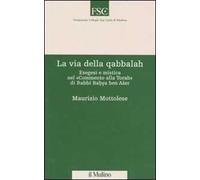 La via della qabbalah. Esegesi e mistica nel «Commento alla Torah» di Rabbi Bahya ben Aser
