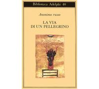 La via di un pellegrino. Racconti sinceri di un pellegrino al suo padre spirituale