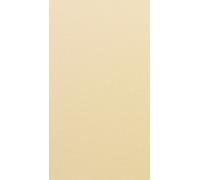 LA VIA LATTEA GIORGIO GRAESAN LT 1 PITTURA DECORATIVA LAVABILE COLORATA