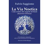 La via noetica. Come risalire alle sorgenti del reale attraverso il pensare [Pap