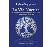 La via noetica. Come risalire alle sorgenti del reale attraverso il pensare [Pap